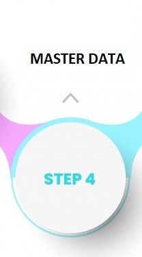 Step 4 - Master Data.jpg