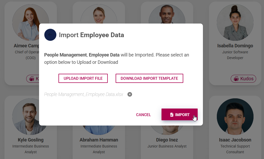 People Management Import Employee Data Import Button.png