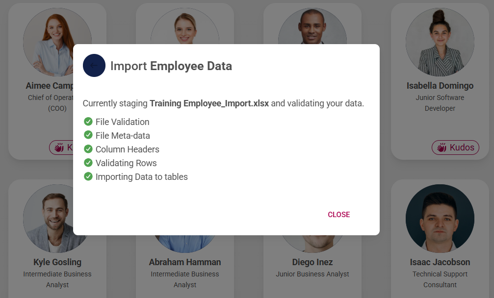People Management Import Employee Data Import Staged.png